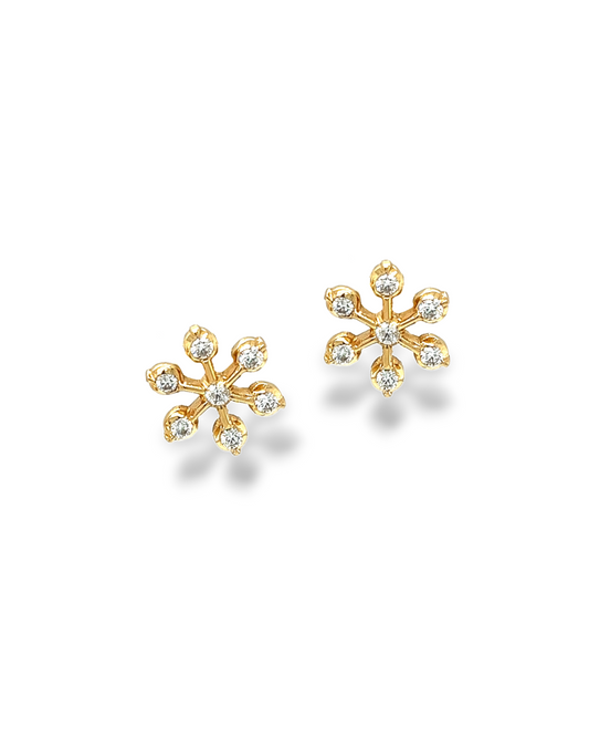 Diamond Earrings